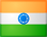 flag_in