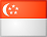 flag_sg